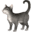 🐈